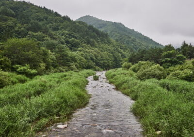 Gangwondo trout creek