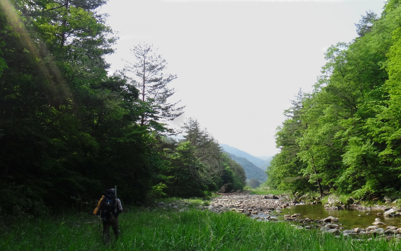 Where to fly fish in Japan?